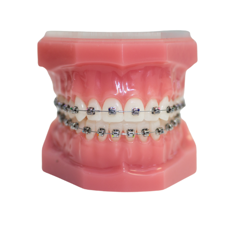 https://dentalclub-clinic.com/wp-content/uploads/2025/04/1.png