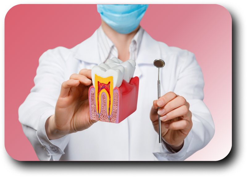 https://dentalclub-clinic.com/wp-content/uploads/2025/04/ปวดฟัน-v4.png